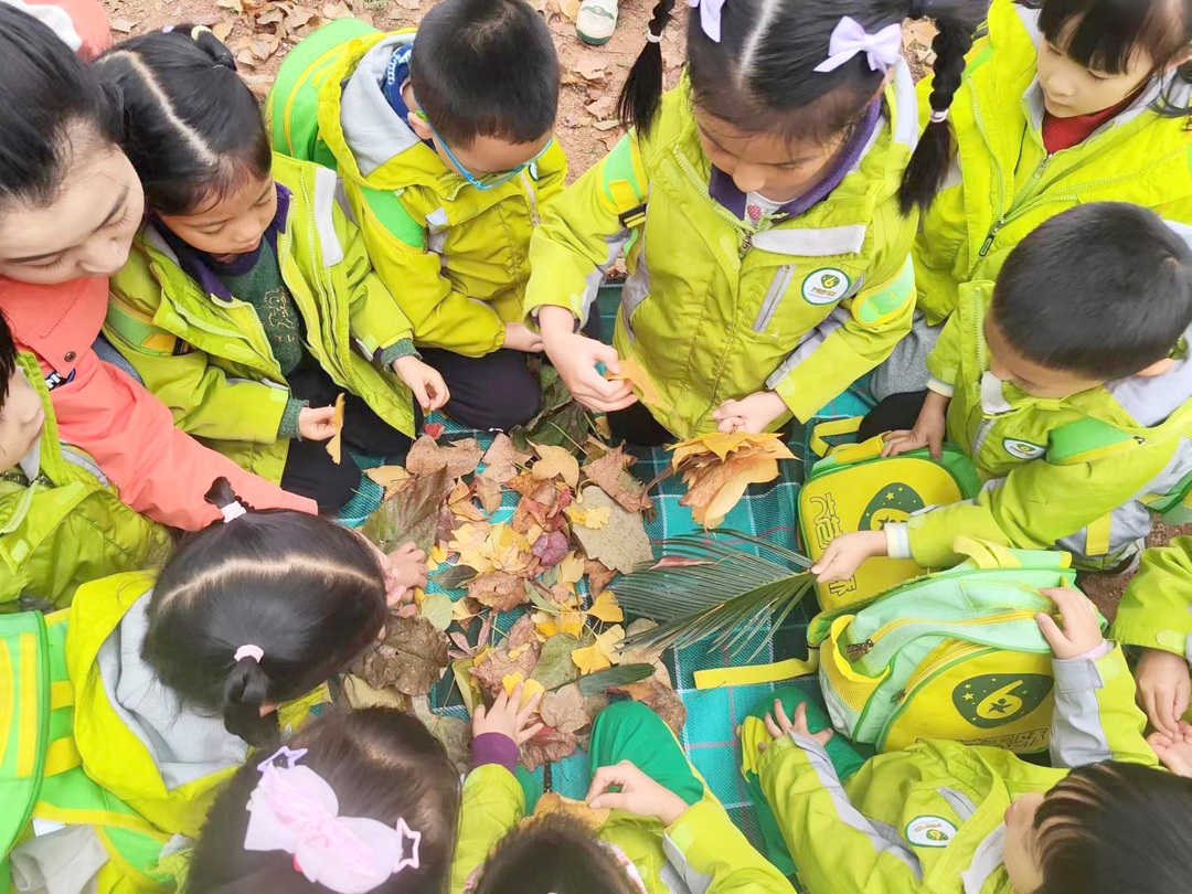 童趣探索 發(fā)現(xiàn)自然生態(tài)之美 六藝天驕幼兒園開展自然實(shí)踐探究活動(dòng)