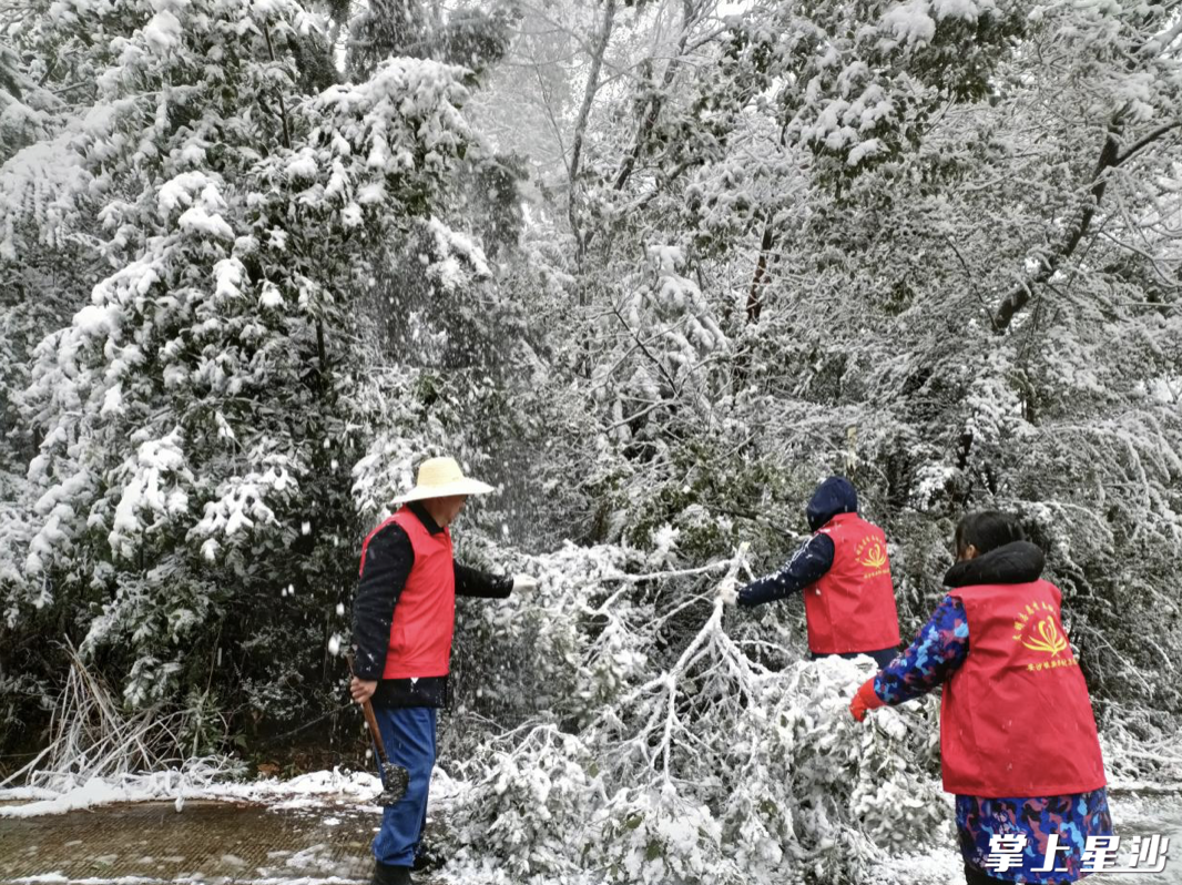 风雪见证温暖 抗冰雪、保畅通、护民安，长沙县近万名志愿者在行动