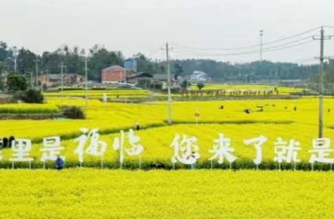 以农文旅融合赋能乡村振兴，长沙县福临镇2024年带动文旅消费9000万元