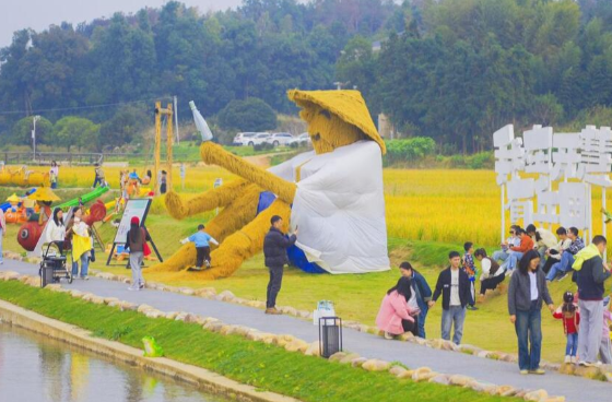 长沙县：振兴有特色 精彩各不同